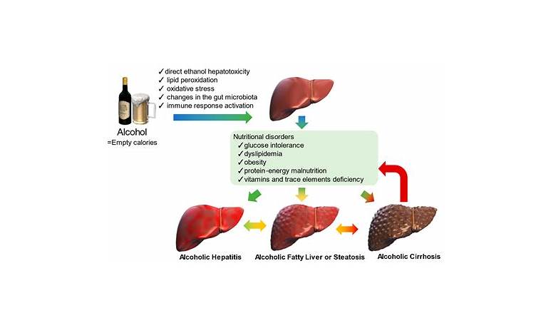 Alcohol on first date