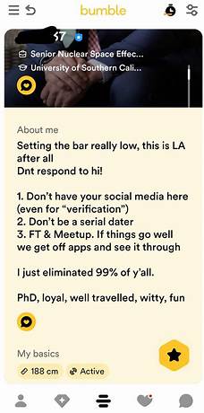 Bumble bio help reddit