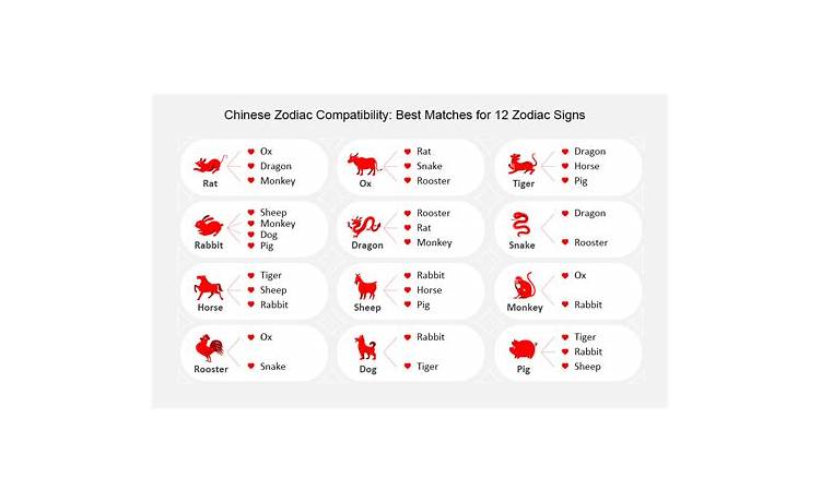 Compatibility match meaning in bengali