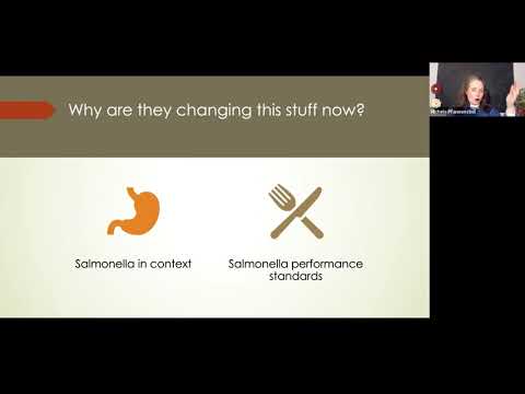 Appendix b guidelines