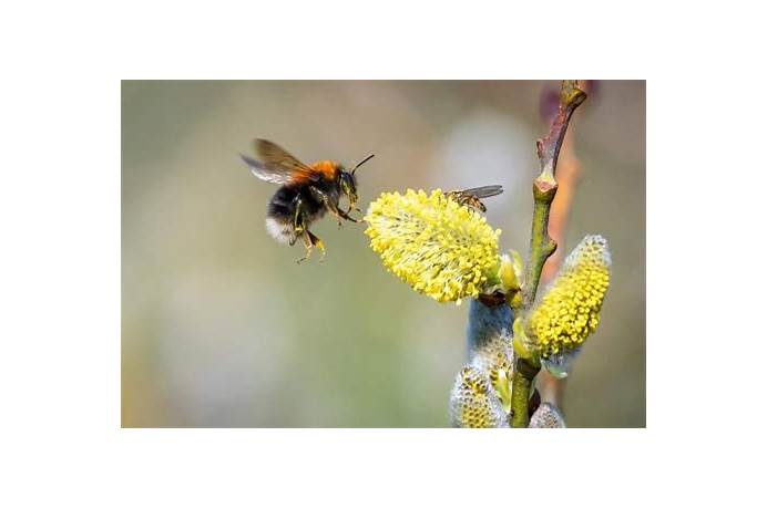 Bumble tips and tricks