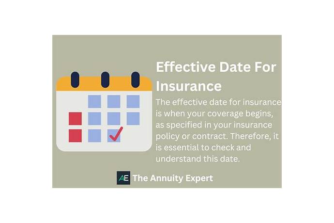 Effective date meaning in english