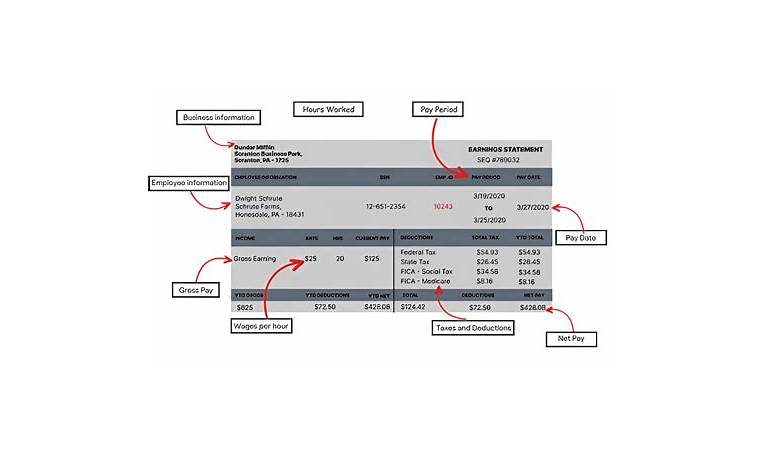 Advice date meaning paycheck