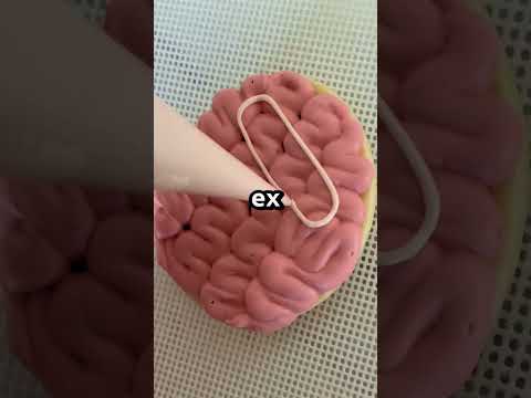 Bumble profile help reddit