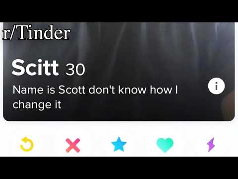 Best tinder bios funny reddit