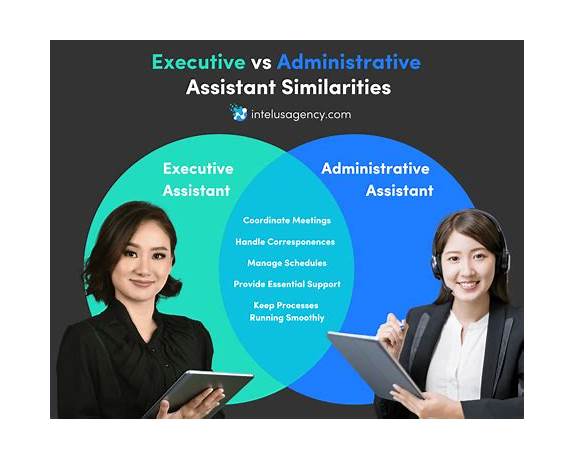 Assistance and assistant difference