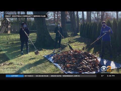 Community service clubs examples