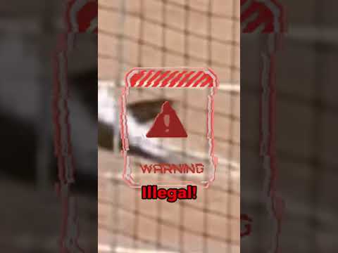 Appendix g guidelines softball